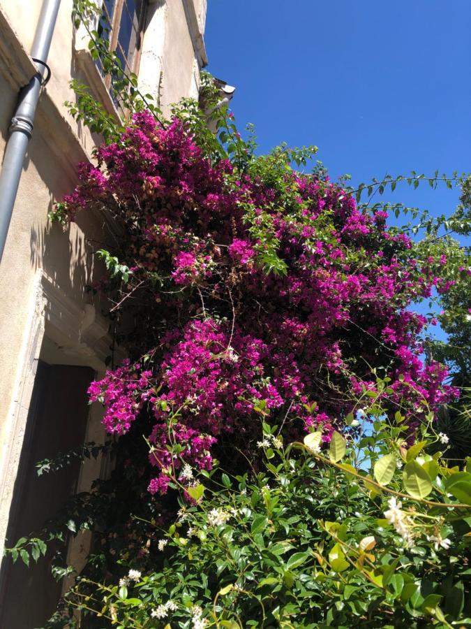 L' Ilot Des Iles Bed and Breakfast Cuxac-dʼAude Buitenkant foto